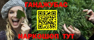 амф Кингисепп