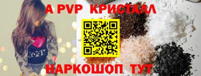 амф Кингисепп
